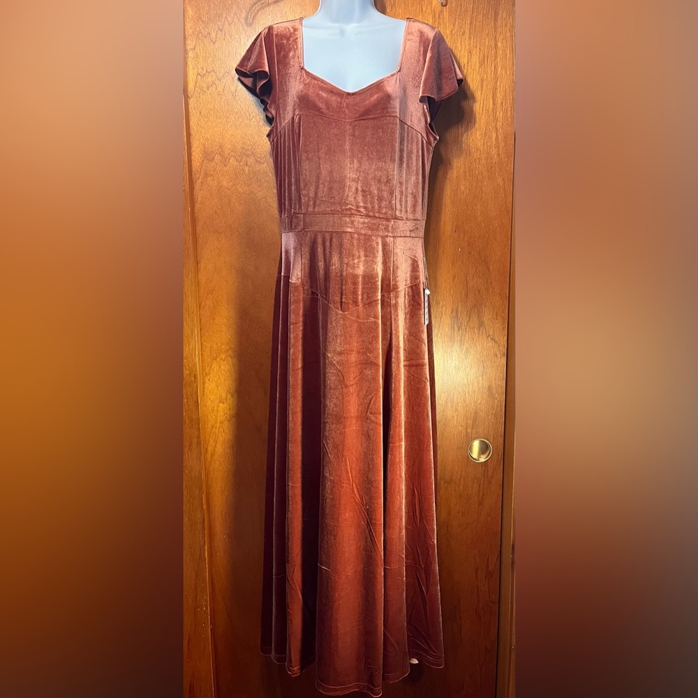 Anastasia rosette velvet dress by Joyfolie size large New With Tags!